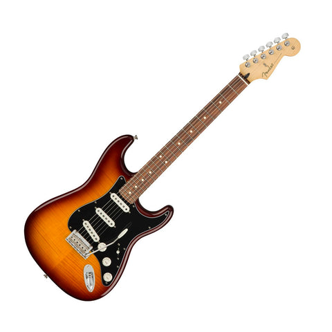 FENDER PLAYER STRAT PLUS TOP PAU FERRO TBS