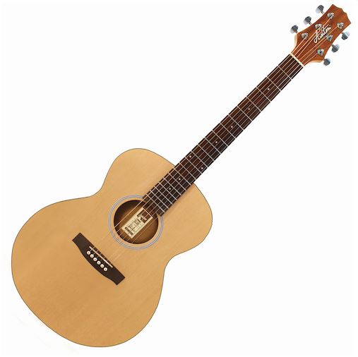 Ashton d20 store acoustic guitar