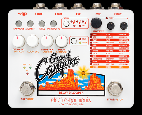 Electro Harmonix Grand Canyon Delay and Looper